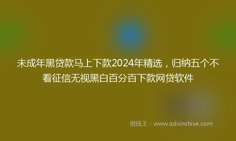 未成年黑贷款马上下款2024年精选，归纳五个不看征信无视黑白百分百下款网贷软件