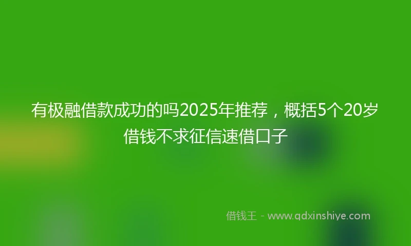 有极融借款成功的吗2025年推荐，概括5个20岁借钱不求征信速借口子