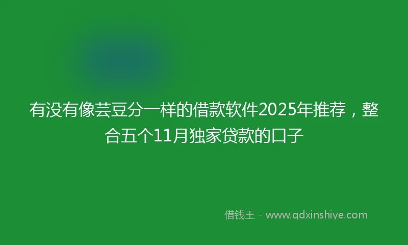 有没有像芸豆分一样的借款软件2025年推荐，整合五个11月独家贷款的口子