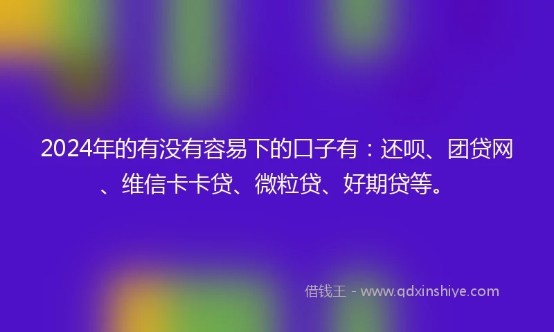 2024年的有没有容易下的口子有：还呗、团贷网、维信卡卡贷、微粒贷、好期贷等。