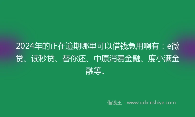 2024年的正在逾期哪里可以借钱急用啊有：e微贷、读秒贷、替你还、中原消费金融、度小满金融等。