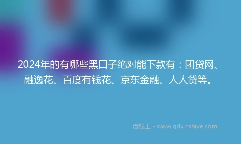 2024年的有哪些黑口子绝对能下款有：团贷网、融逸花、百度有钱花、京东金融、人人贷等。