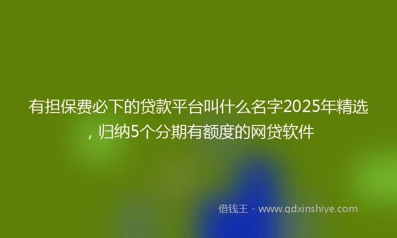 有担保费必下的贷款平台叫什么名字2025年精选，归纳5个分期有额度的网贷软件