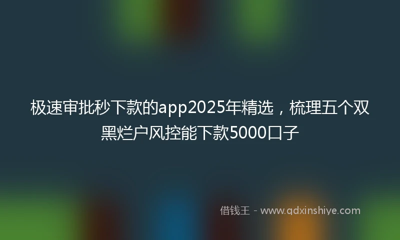 极速审批秒下款的app2025年精选，梳理五个双黑烂户风控能下款5000口子