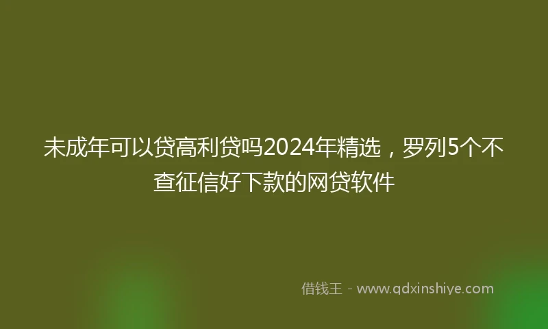 未成年可以贷高利贷吗2024年精选，罗列5个不查征信好下款的网贷软件