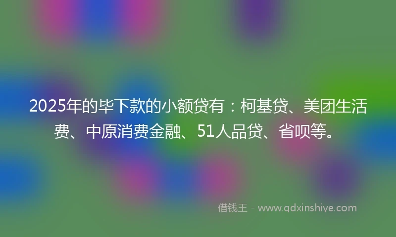2025年的毕下款的小额贷有：柯基贷、美团生活费、中原消费金融、51人品贷、省呗等。