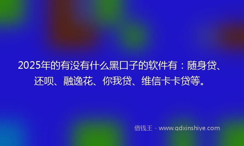 2025年的有没有什么黑口子的软件有：随身贷、还呗、融逸花、你我贷、维信卡卡贷等。