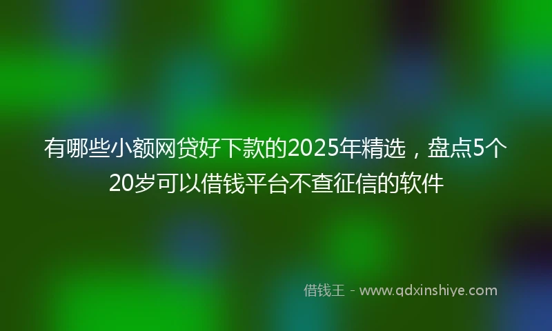 有哪些小额网贷好下款的2025年精选，盘点5个20岁可以借钱平台不查征信的软件