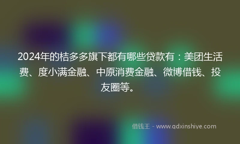 2024年的桔多多旗下都有哪些贷款有：美团生活费、度小满金融、中原消费金融、微博借钱、投友圈等。