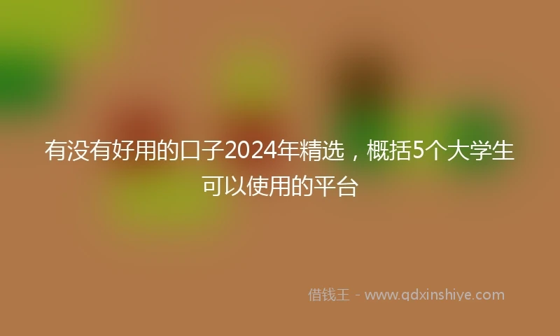有没有好用的口子2024年精选，概括5个大学生可以使用的平台