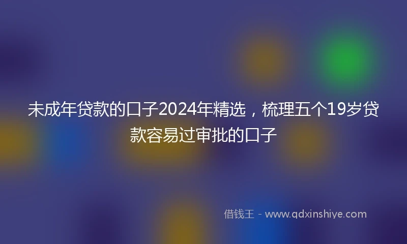 未成年贷款的口子2024年精选，梳理五个19岁贷款容易过审批的口子