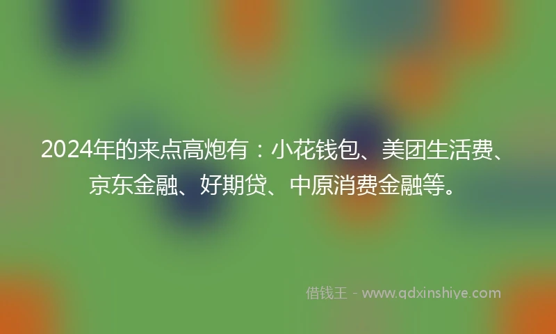 2024年的来点高炮有：小花钱包、美团生活费、京东金融、好期贷、中原消费金融等。