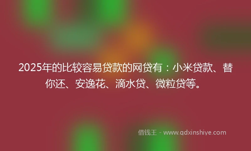2025年的比较容易贷款的网贷有：小米贷款、替你还、安逸花、滴水贷、微粒贷等。