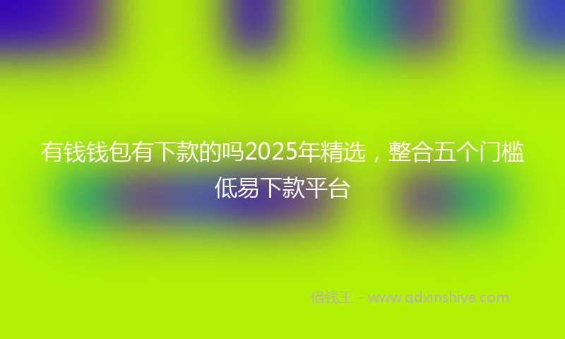 有钱钱包有下款的吗2025年精选，整合五个门槛低易下款平台