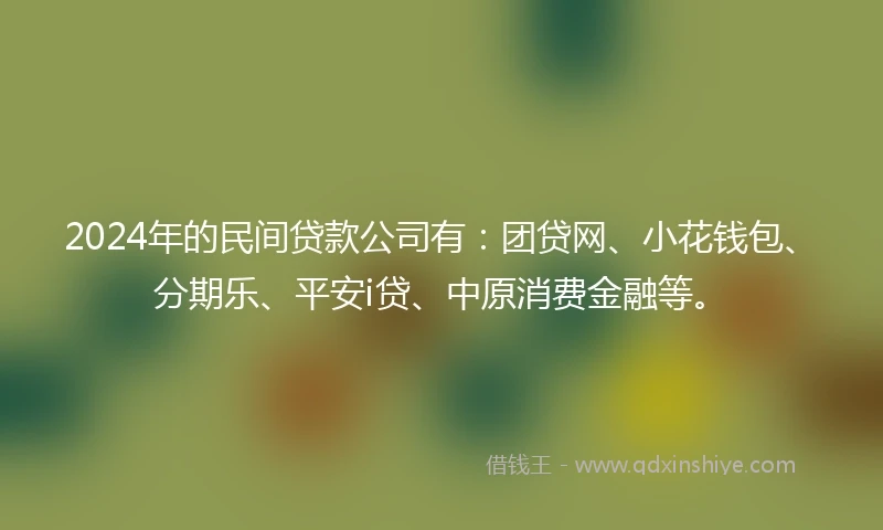 2024年的民间贷款公司有：团贷网、小花钱包、分期乐、平安i贷、中原消费金融等。