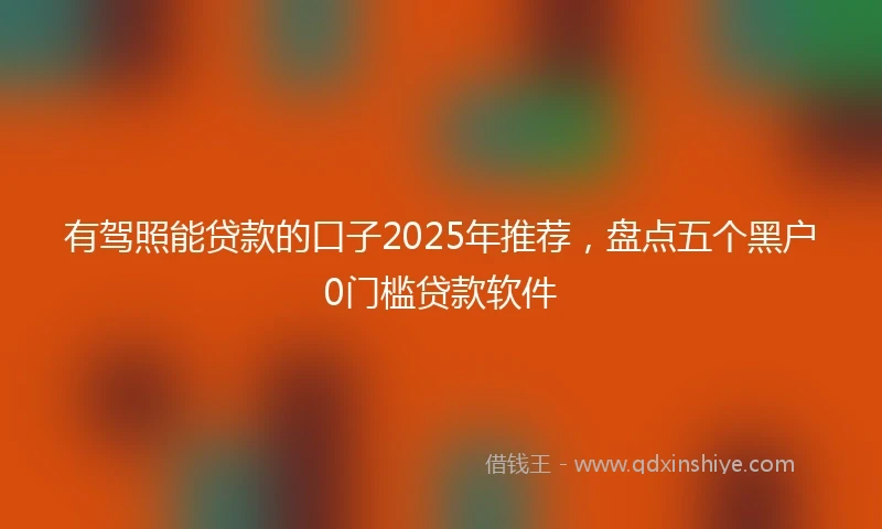 有驾照能贷款的口子2025年推荐，盘点五个黑户0门槛贷款软件