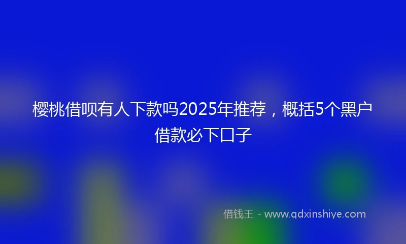 樱桃借呗有人下款吗2025年推荐，概括5个黑户借款必下口子