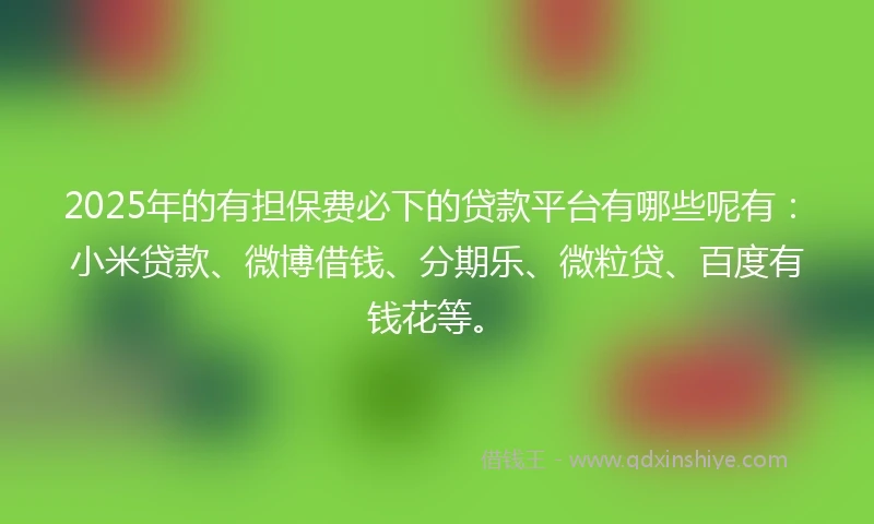 2025年的有担保费必下的贷款平台有哪些呢有：小米贷款、微博借钱、分期乐、微粒贷、百度有钱花等。