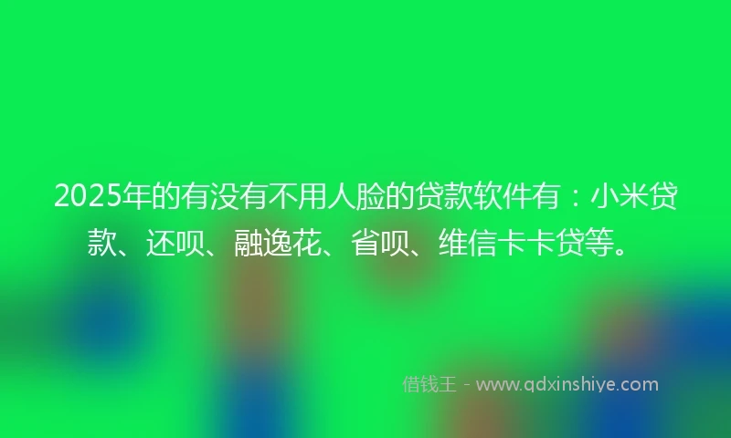 2025年的有没有不用人脸的贷款软件有：小米贷款、还呗、融逸花、省呗、维信卡卡贷等。