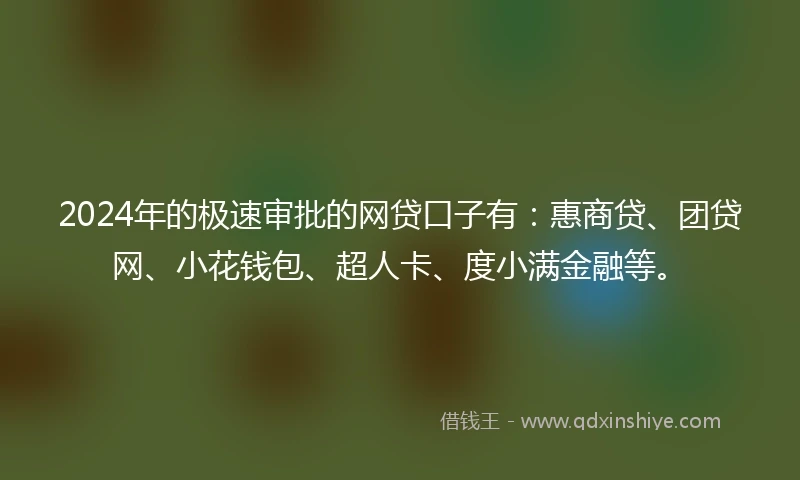 2024年的极速审批的网贷口子有：惠商贷、团贷网、小花钱包、超人卡、度小满金融等。