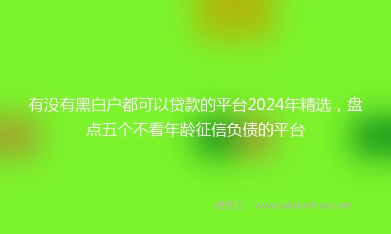 有没有黑白户都可以贷款的平台2024年精选，盘点五个不看年龄征信负债的平台