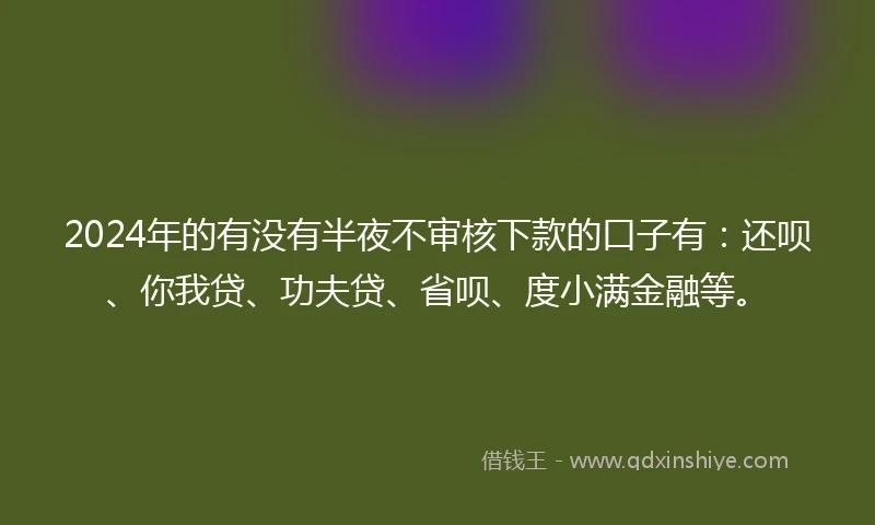 2024年的有没有半夜不审核下款的口子有：还呗、你我贷、功夫贷、省呗、度小满金融等。