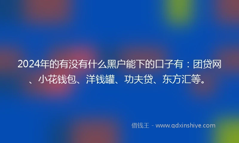 2024年的有没有什么黑户能下的口子有：团贷网、小花钱包、洋钱罐、功夫贷、东方汇等。
