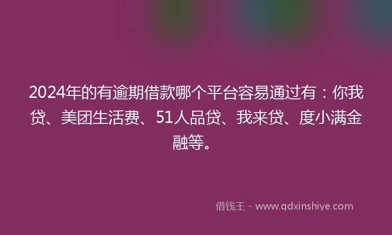 2024年的有逾期借款哪个平台容易通过有：你我贷、美团生活费、51人品贷、我来贷、度小满金融等。