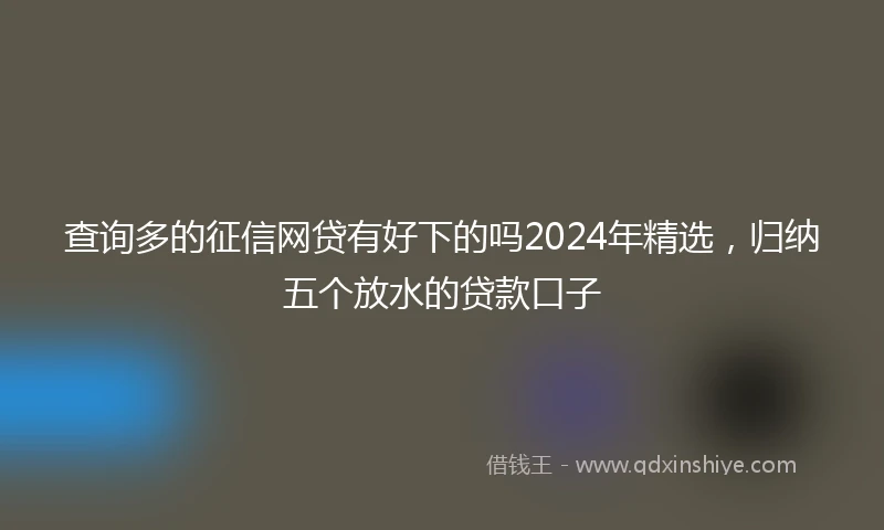 查询多的征信网贷有好下的吗2024年精选，归纳五个放水的贷款口子