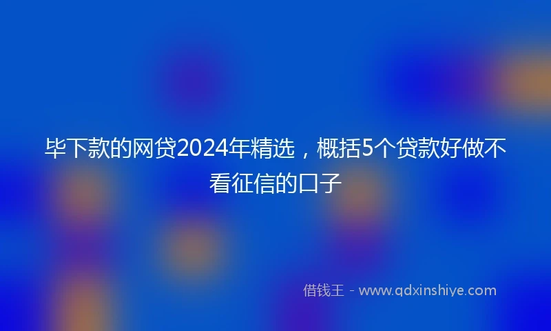 毕下款的网贷2024年精选，概括5个贷款好做不看征信的口子
