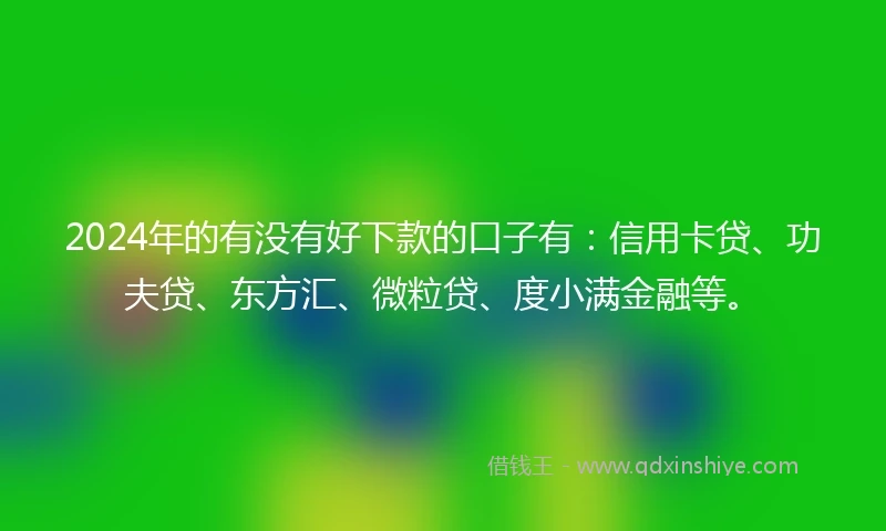 2024年的有没有好下款的口子有：信用卡贷、功夫贷、东方汇、微粒贷、度小满金融等。