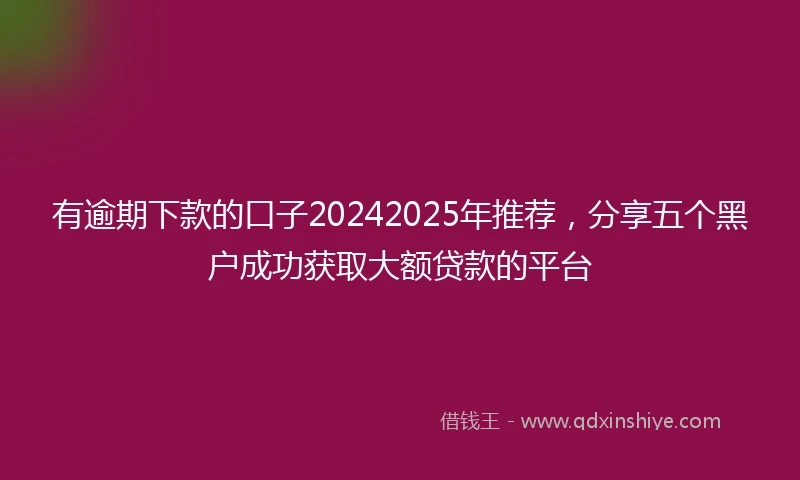 有逾期下款的口子20242025年推荐，分享五个黑户成功获取大额贷款的平台