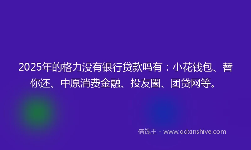 2025年的格力没有银行贷款吗有：小花钱包、替你还、中原消费金融、投友圈、团贷网等。