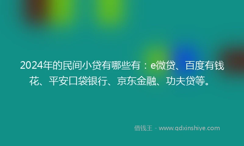 2024年的民间小贷有哪些有：e微贷、百度有钱花、平安口袋银行、京东金融、功夫贷等。