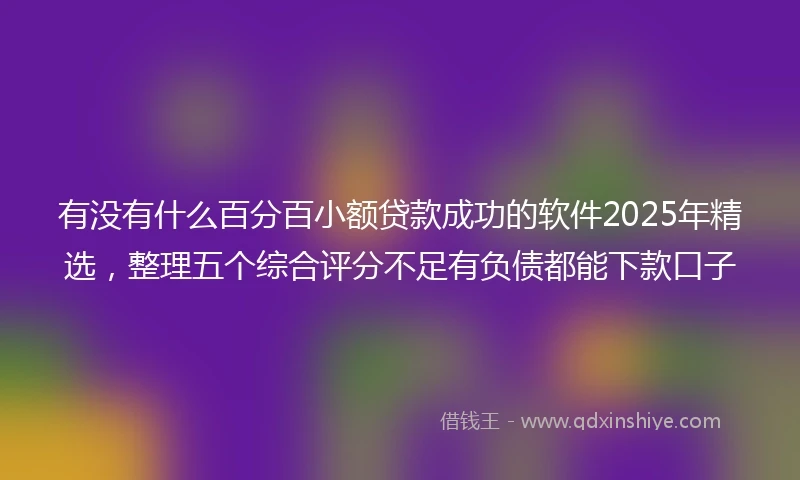 有没有什么百分百小额贷款成功的软件2025年精选，整理五个综合评分不足有负债都能下款口子
