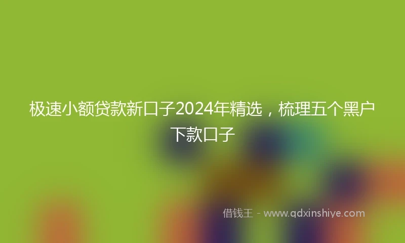 极速小额贷款新口子2024年精选，梳理五个黑户下款口子