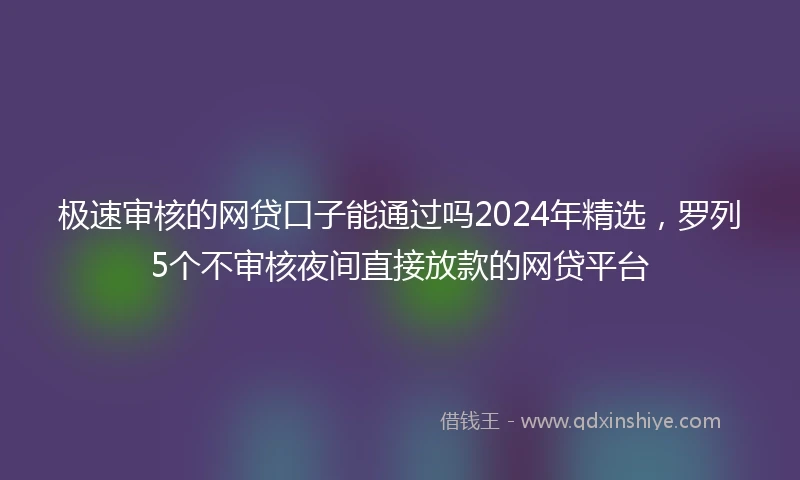 极速审核的网贷口子能通过吗2024年精选，罗列5个不审核夜间直接放款的网贷平台