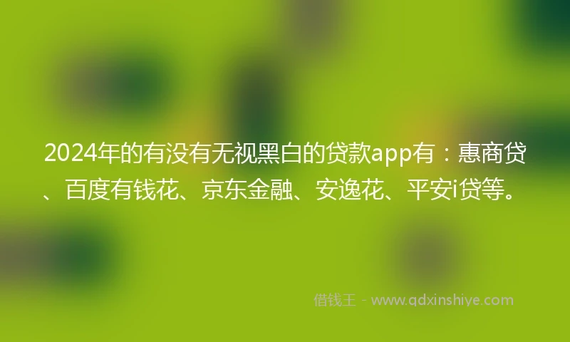 2024年的有没有无视黑白的贷款app有：惠商贷、百度有钱花、京东金融、安逸花、平安i贷等。