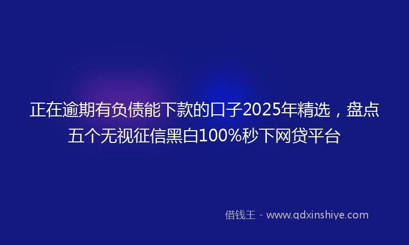 正在逾期有负债能下款的口子2025年精选，盘点五个无视征信黑白100%秒下网贷平台