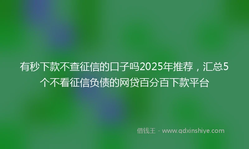 有秒下款不查征信的口子吗2025年推荐，汇总5个不看征信负债的网贷百分百下款平台