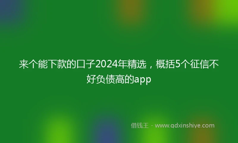 来个能下款的口子2024年精选，概括5个征信不好负债高的app