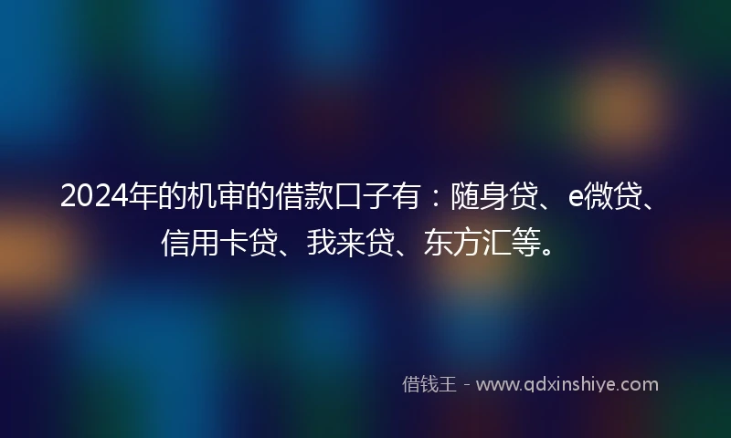 2024年的机审的借款口子有：随身贷、e微贷、信用卡贷、我来贷、东方汇等。
