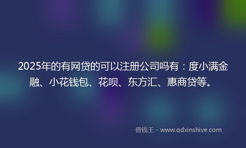 2025年的有网贷的可以注册公司吗有：度小满金融、小花钱包、花呗、东方汇、惠商贷等。