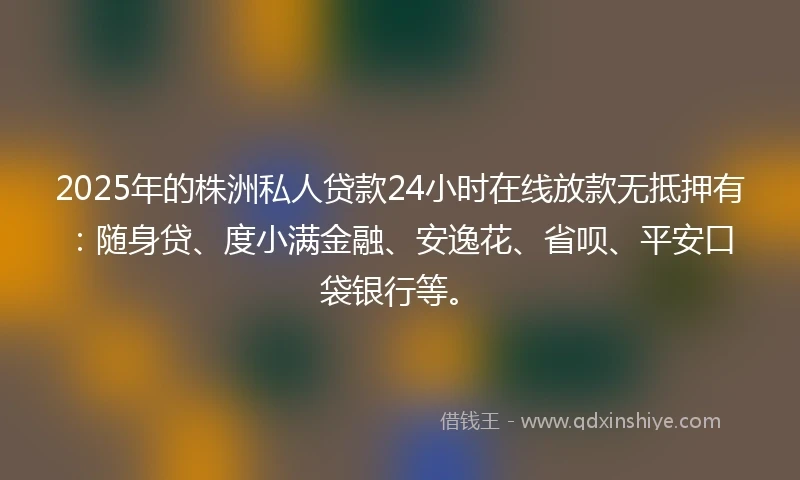2025年的株洲私人贷款24小时在线放款无抵押有：随身贷、度小满金融、安逸花、省呗、平安口袋银行等。