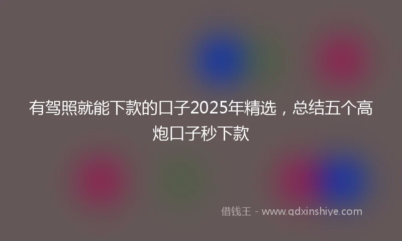 有驾照就能下款的口子2025年精选，总结五个高炮口子秒下款