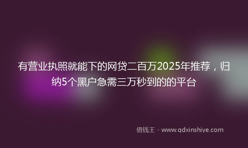 有营业执照就能下的网贷二百万2025年推荐，归纳5个黑户急需三万秒到的的平台
