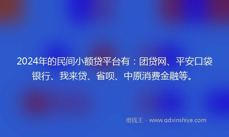 2024年的民间小额贷平台有：团贷网、平安口袋银行、我来贷、省呗、中原消费金融等。