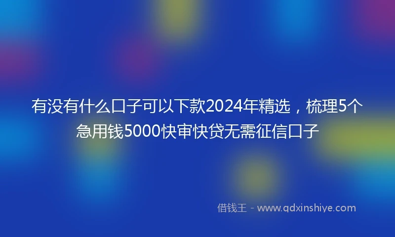 有没有什么口子可以下款2024年精选，梳理5个急用钱5000快审快贷无需征信口子