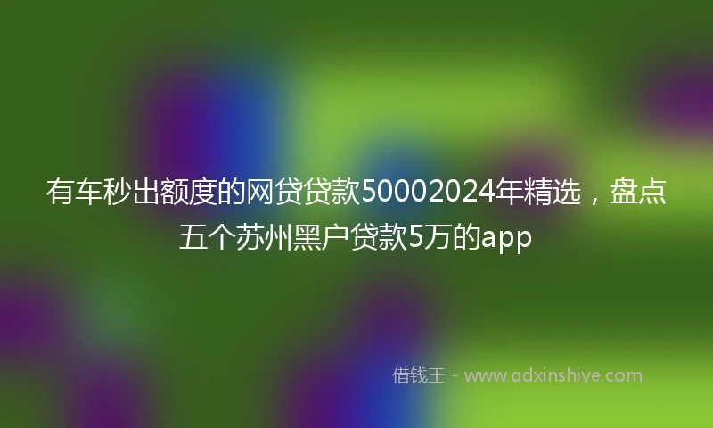 有车秒出额度的网贷贷款50002024年精选，盘点五个苏州黑户贷款5万的app