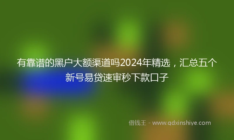 有靠谱的黑户大额渠道吗2024年精选，汇总五个新号易贷速审秒下款口子